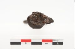 Foto von Eisenantennendolch (NHMW-PRAE-025027)